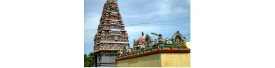 180. திருநெல்லிக்கா